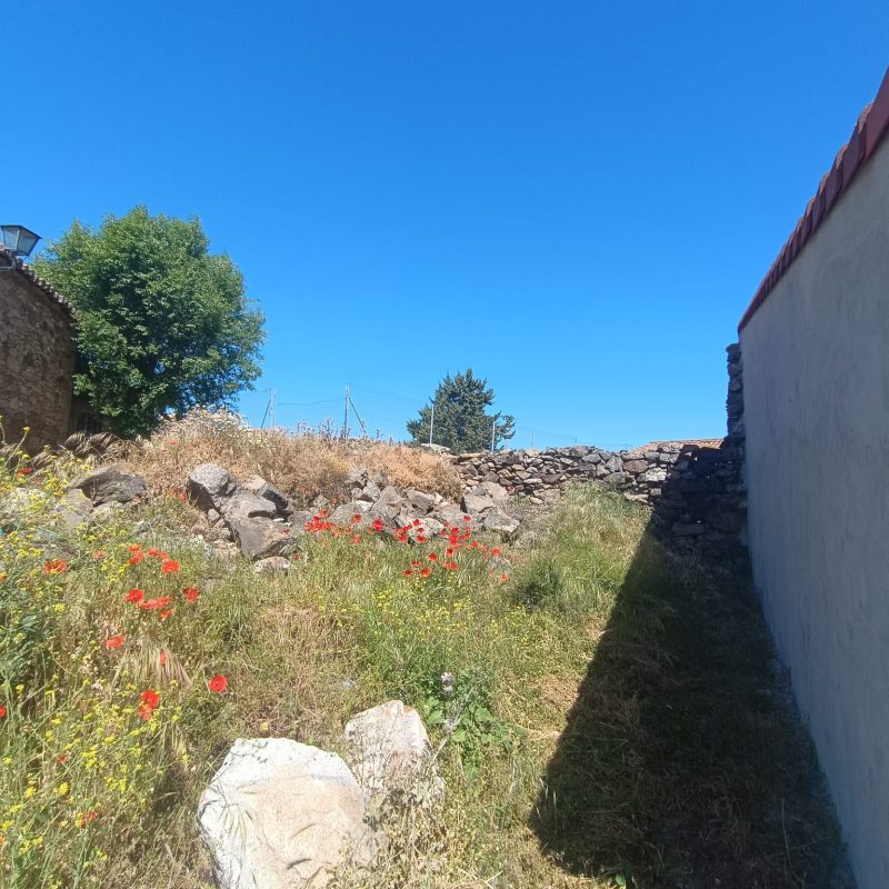Venta de solar urbano en San Lorenzo de Tormes (Ávila