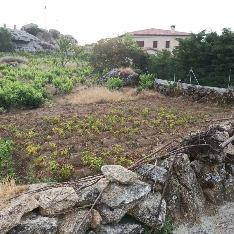 Se vende suelo urbano en Sanchotello (Salamanca)