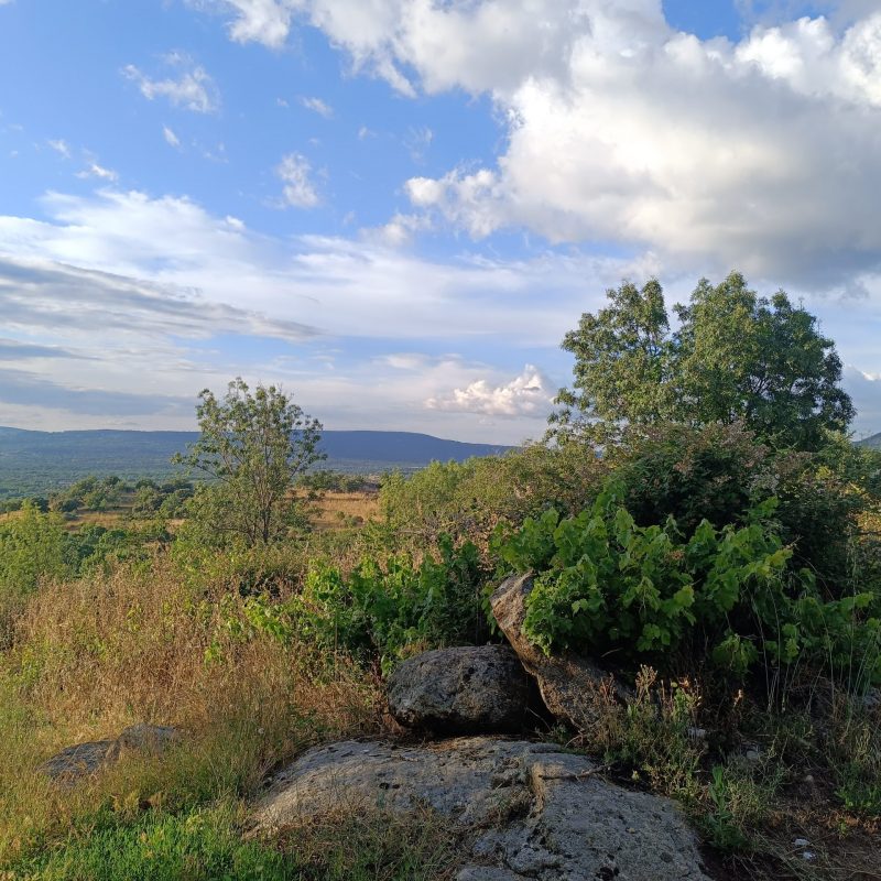 Se vende parcela con suelo de distinta clase en Sanchotello (Salamanca)