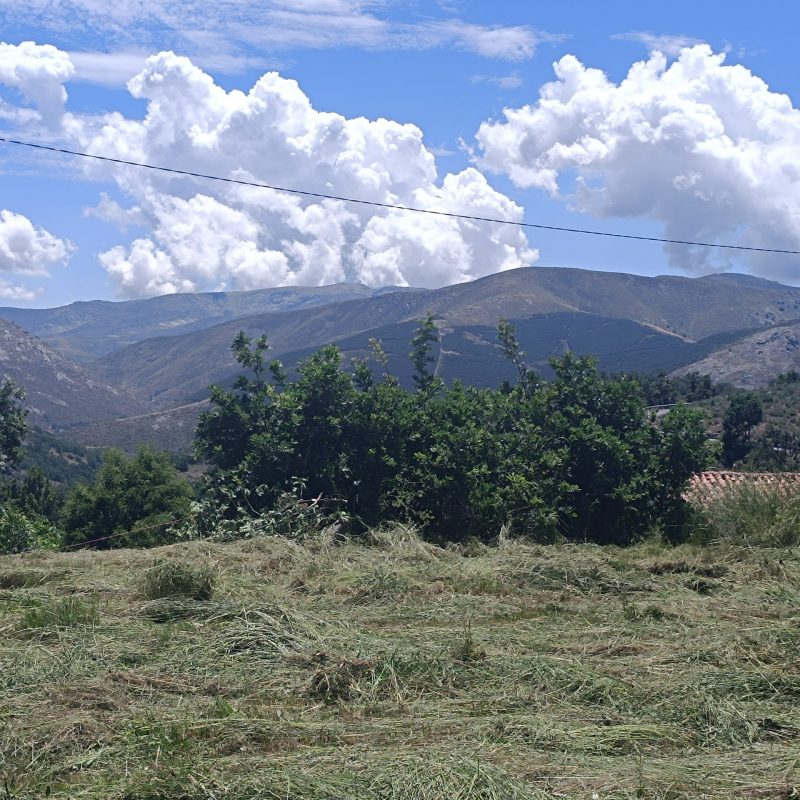 Venta de solar urbano en San Bartolomé de Tormes (Ávila)