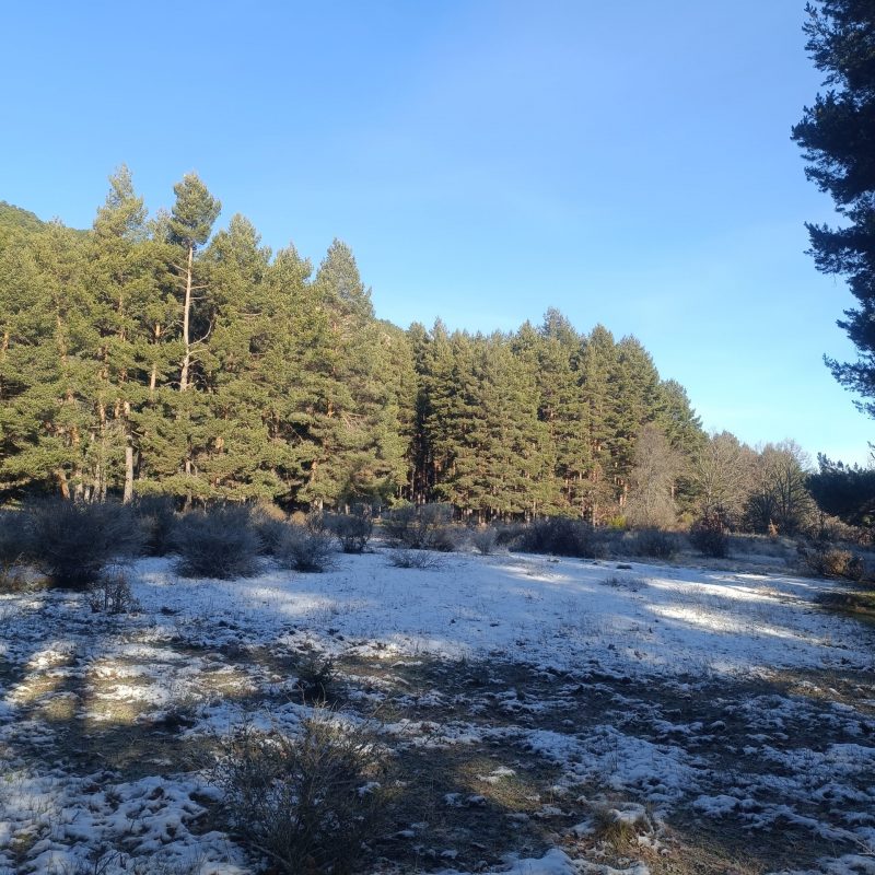 Se vende finca rústica en Navalguijo (Ávila)