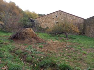 Vivienda con amplio terreno urbano en Navacepeda de Tormes