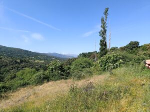 Terreno Urbano + Huerto Rústico en El Nogal - Santiago del Collado (Ávila)