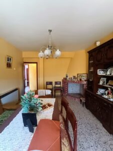 casa de pueblo con múltiples posibilidades en Becedillas (Ávila)