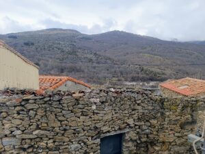 Hola, Pablo. ¡Un placer saludarte! Estamos encantados de ayudarte con la gestión del alquiler de tu inmueble. Por las características que nos has indicado, estimamos que se podría alquilar perfectamente en 450 €. Para que conozcas nuestra forma de trabajar, te detallo lo que incluye nuestro servicio: Realización de todas las visitas. Exhaustiva selección de inquilinos para tu tranquilidad. Elaboración del contrato de arrendamiento y su respectivo inventario. Nuestras condiciones son: Larga estancia (un año o más): Honorarios de una mensualidad. Alquiler temporal (menos de un año): 10% del total que vaya a recibir la propiedad. Nota importante sobre las fechas: Te informamos de que estaremos de vacaciones del 20 de diciembre al 6 de enero, retomando nuestra actividad el 7 de enero. A partir de ese día, si lo deseas, podemos quedar para ver el inmueble y poner el alquiler en marcha de inmediato. Quedamos a tu disposición para cualquier duda. ¡Un saludo!