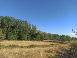Finca rústica en La Carrera (Ávila)
