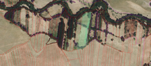 Finca rústica en San Bartolomé de Corneja